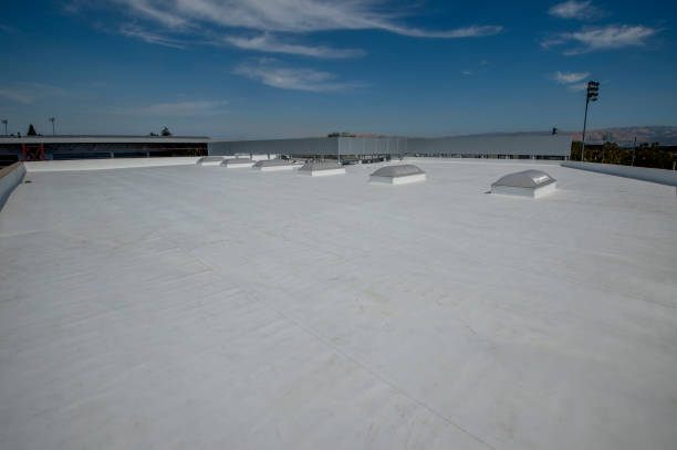 Best Roof Coating and Sealing  in Park Layne, OH