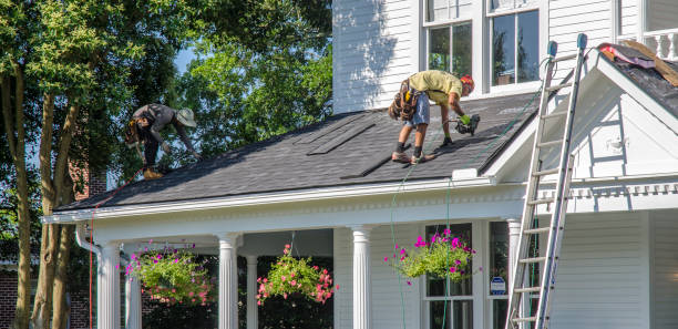 Best Steel Roofing  in Park Layne, OH